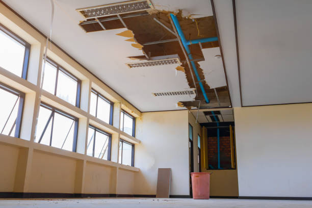 Best Fire Damage Restoration  in Siesta Acres, TX
