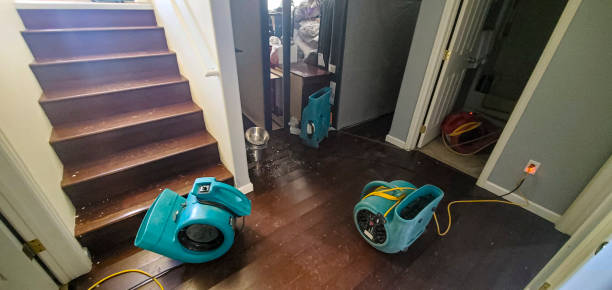 Best Carpet water damage restoration  in Siesta Acres, TX