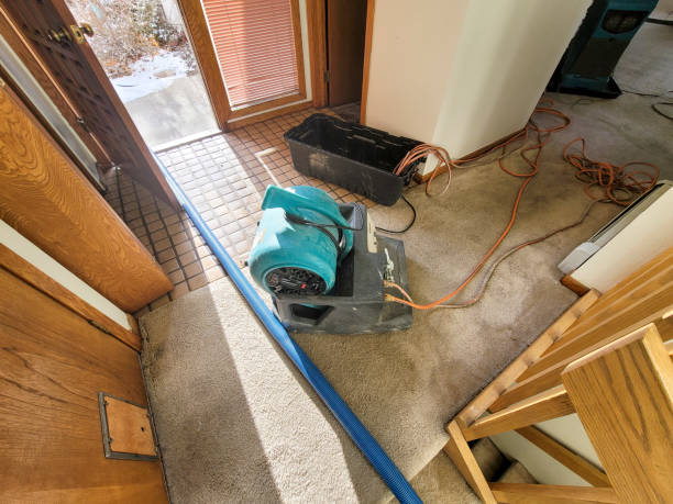 Best Ceiling water damage repair  in Siesta Acres, TX