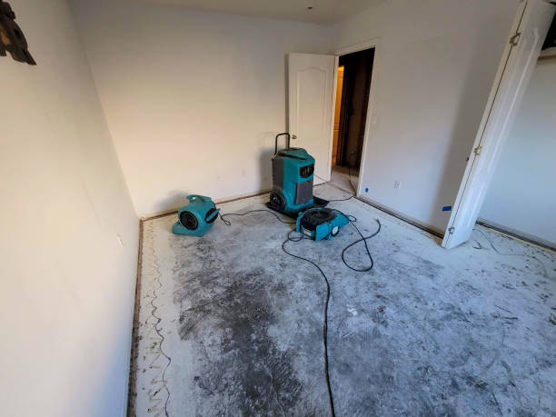 Best Water damage cleanup near me  in Siesta Acres, TX