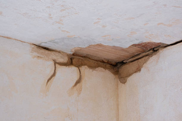 Best Flood restoration services  in Siesta Acres, TX