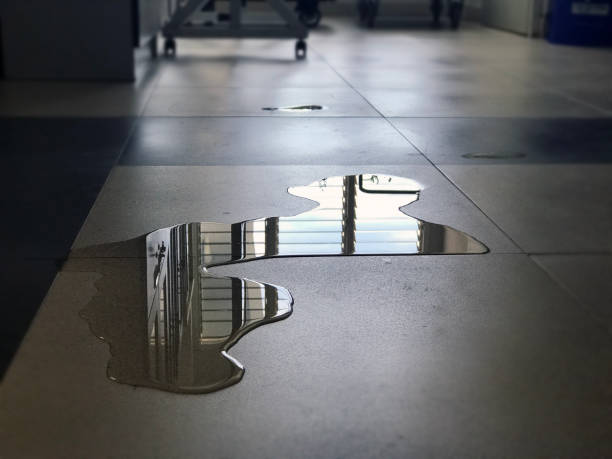 Best Professional water damage repair  in Siesta Acres, TX