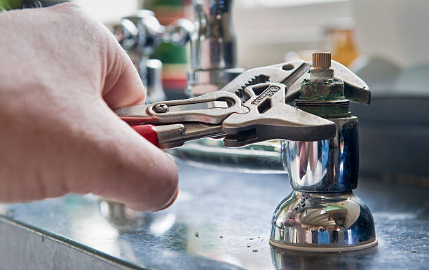 Best Mold removal after water damage  in Siesta Acres, TX