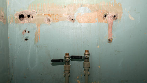 Best Flood damage cleanup  in Siesta Acres, TX