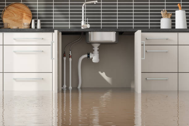 Best Water damage restoration near me  in Siesta Acres, TX