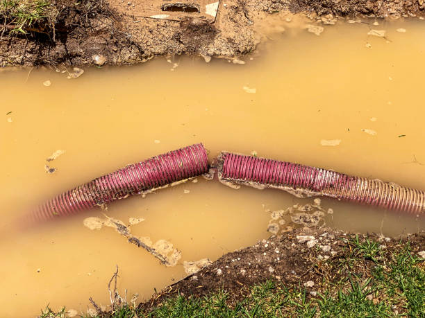 Professional Water damage restoration in Siesta Acres, TX