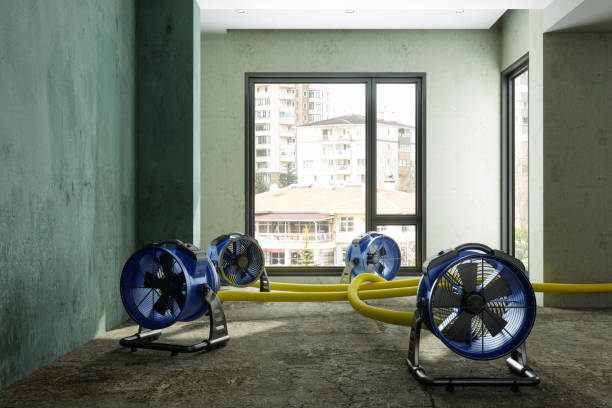 Best Water damage mitigation services  in Siesta Acres, TX